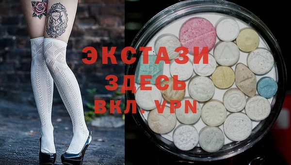 сатива Тайга