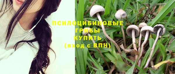 spice Балабаново