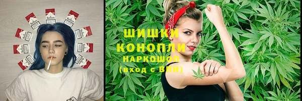 гидра Балахна