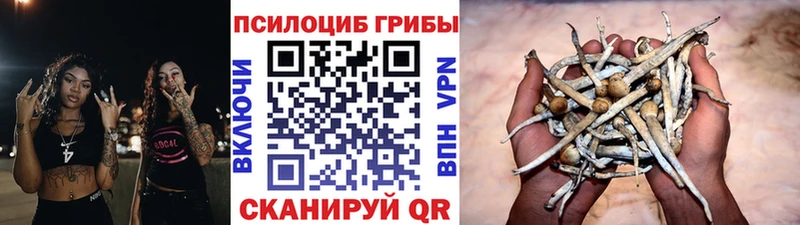 Галлюциногенные грибы мухоморы  дарнет шоп  Ярцево 